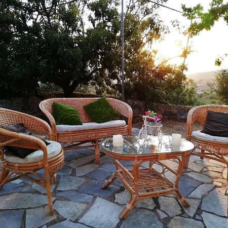 Theasea House With Garden Apartment Riglia Екстериор снимка