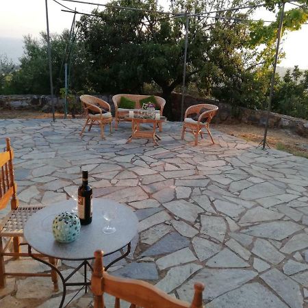 Theasea House With Garden Apartment Riglia Екстериор снимка